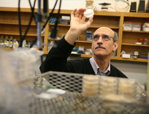 永久有效的在线DDOS平台攻击